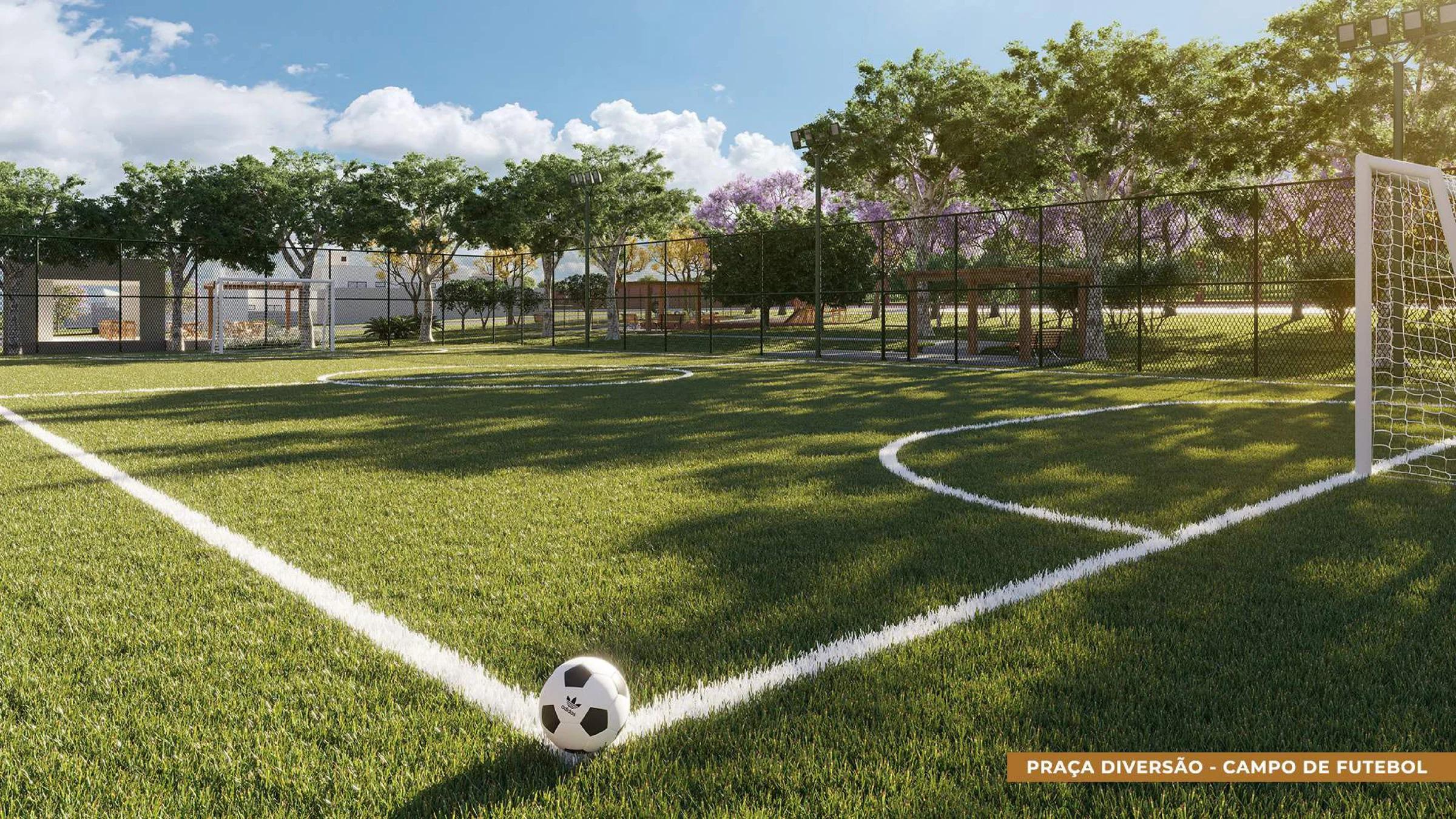 Campo de futebol society gramado com trave e alambrado