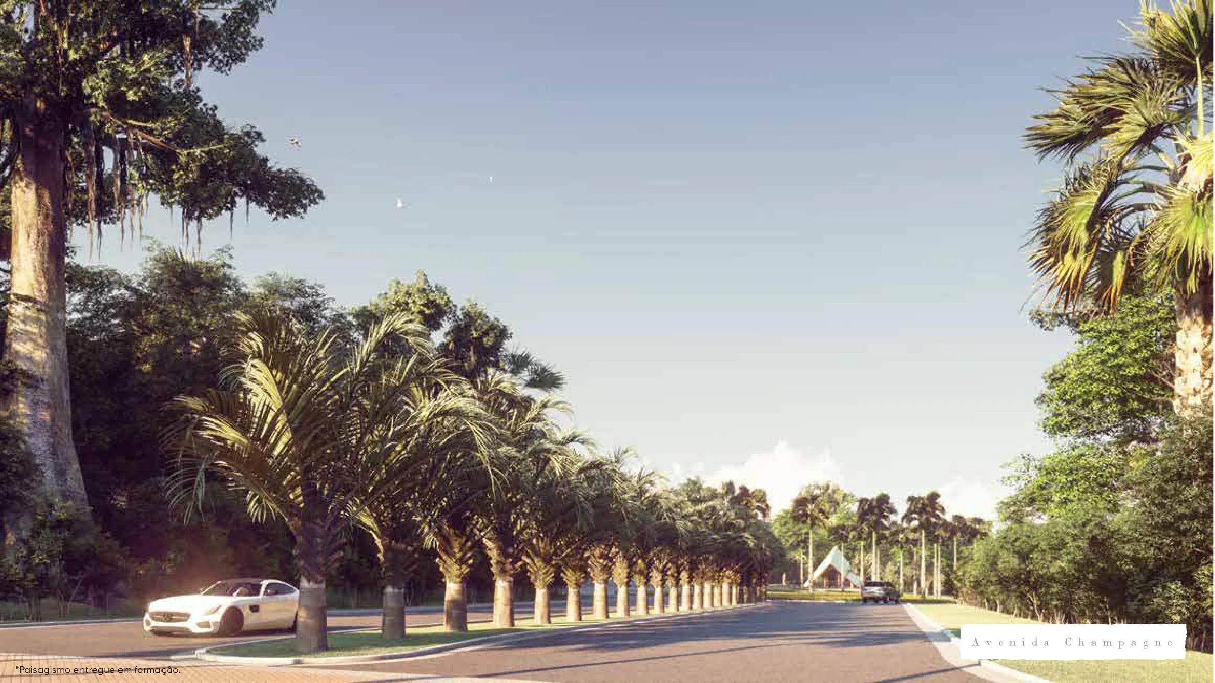 Perspectiva da avenida principal com canteiro arborizado de palmeiras e pista dupla