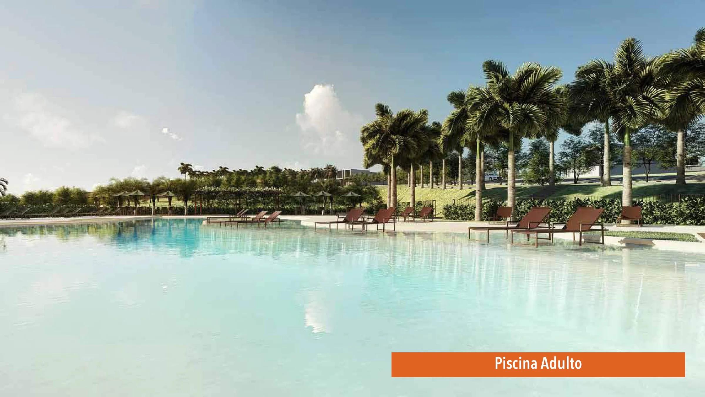 Piscina adulto com espreguiçadeiras e palmeiras ao redor