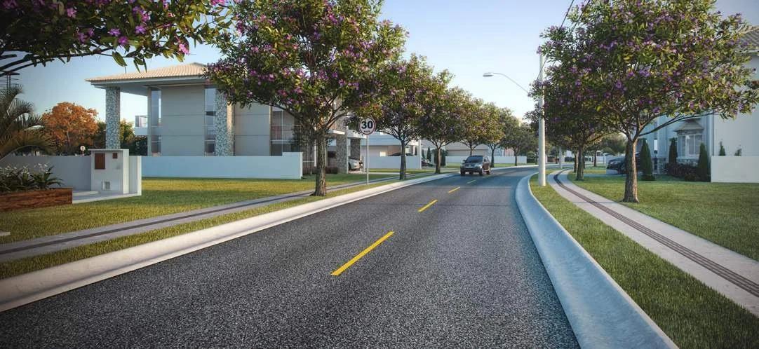 Rua residencial sinuosa com casas