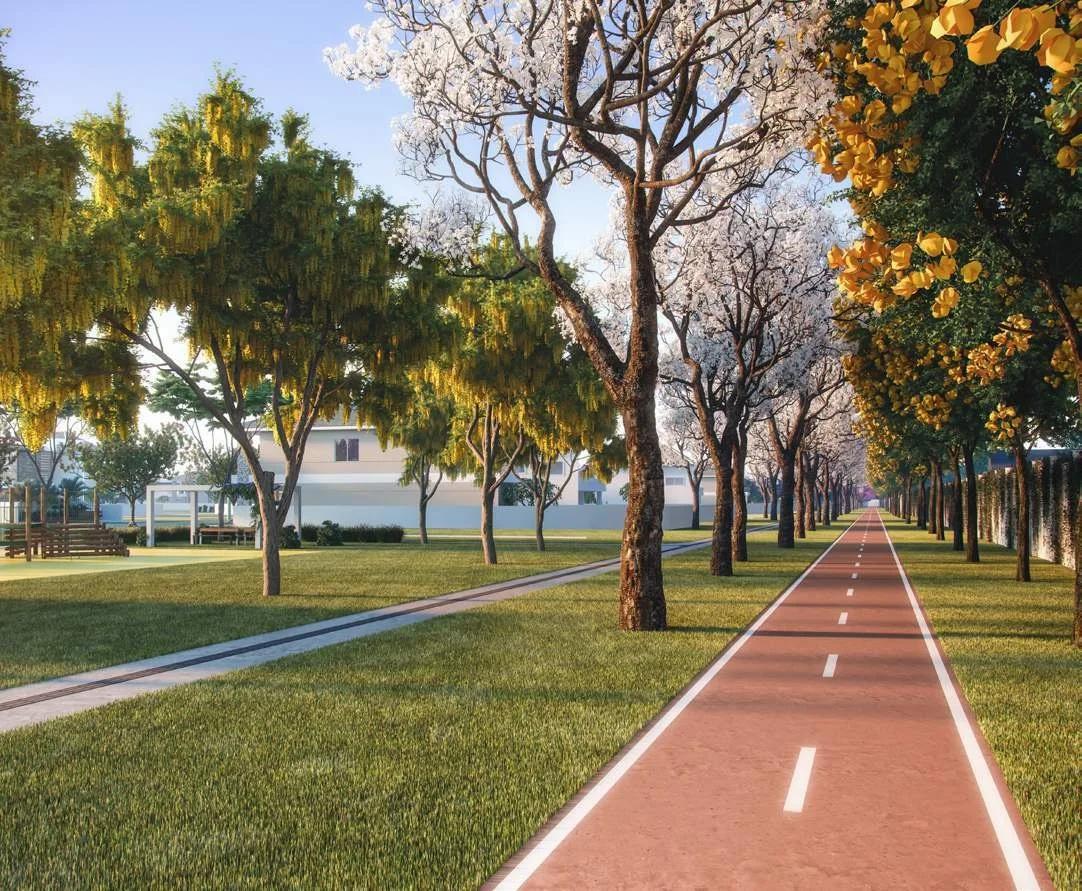 Ciclovia e pista de caminhada arborizadas