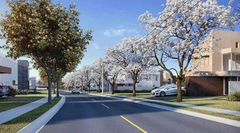 Rua residencial arborizada com calçadas amplas